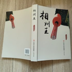 相州王 长篇小说 宋兆梅 正版二手旧书