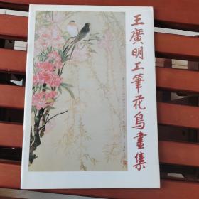 王广明工笔花鸟画集