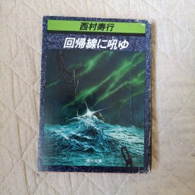 角川文库——回归线……（日文原版）