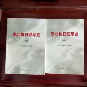 东北抗日联军史上下