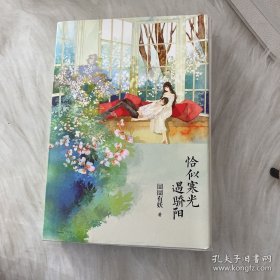 恰似寒光遇骄阳（上下）