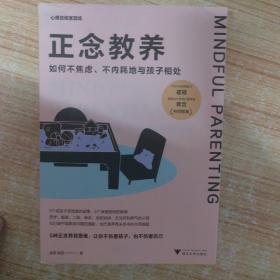 正念教养：如何不焦虑、不内耗地与孩子相处