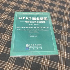 有货（4号位）：SAP R/3商业蓝图