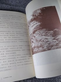 茶马古道上远逝的铃声-云南马帮马锅头口述历史