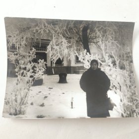 美女在冬天的冰树挂留影照片