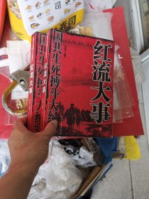 红流大事 国共生死搏斗大纪实 上下