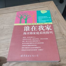 谁在我家：海灵格家庭系统排列