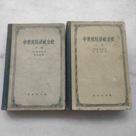 中世纪经济社会史（上下两册 300-1300年）特惠价