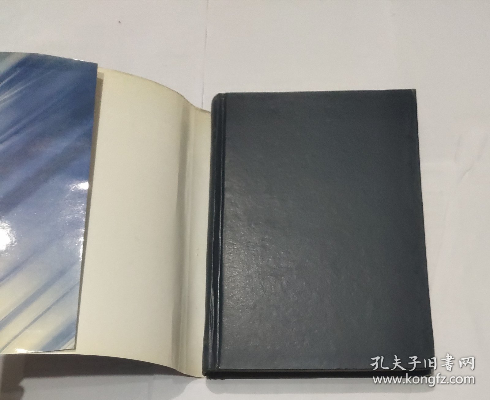 近现代汉语新词词源词典