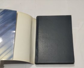 近现代汉语新词词源词典