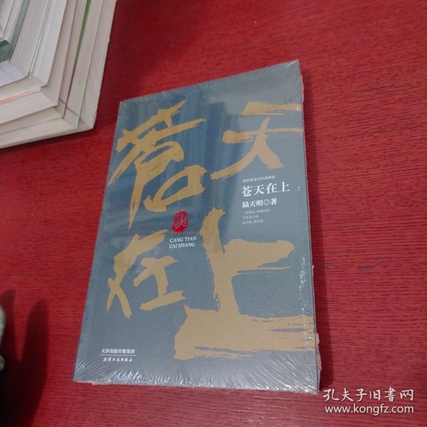 陆天明当代作品精选：苍天在上