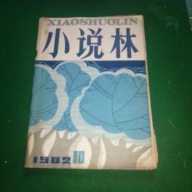 小说林1982年第10期