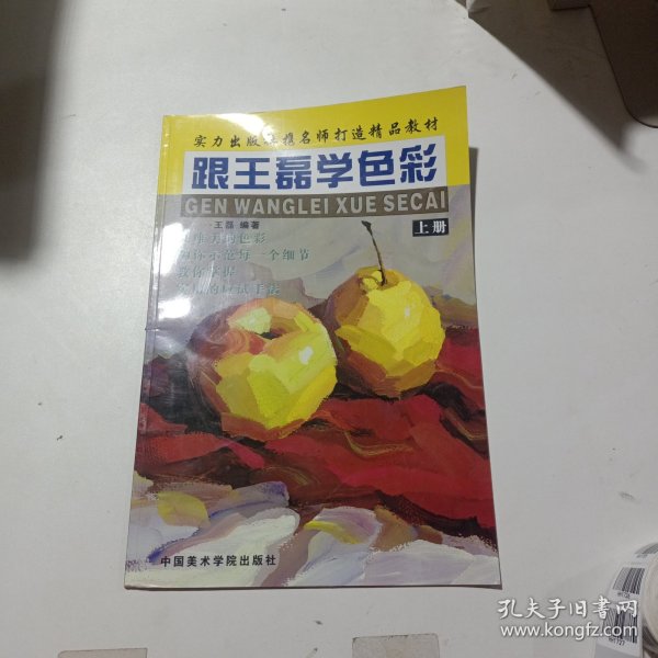 跟王磊学色彩