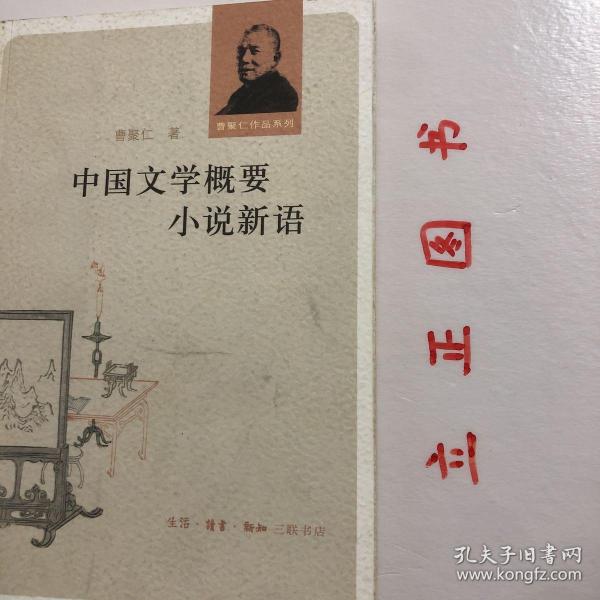 中国文学概要 小说新语