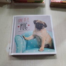 LOVE IS A PUG