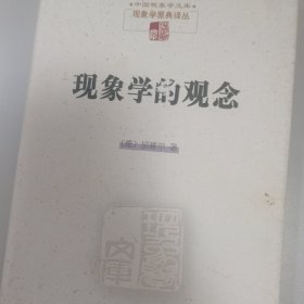 现象学的观念