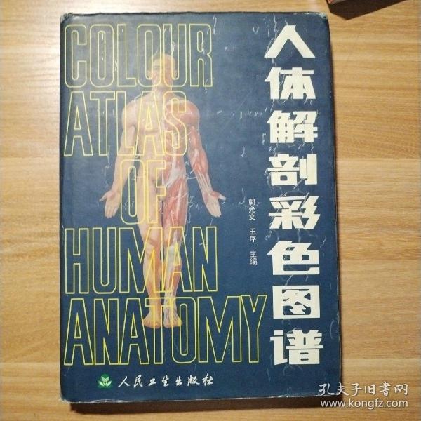 人体解剖彩色图谱