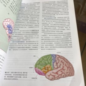 认知神经科学：关于心智的生物学