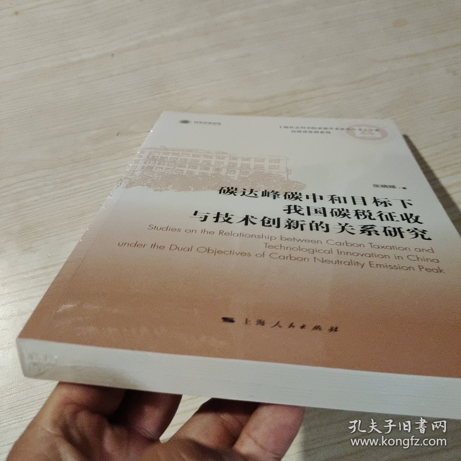 碳达峰碳中和目标下我国碳税征收与技术创新的关系研究