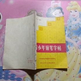 青少年钢笔字帖