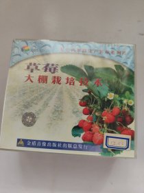 草莓大棚栽培技术 CD 无公害果品生产教学系列片 光盘