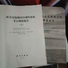 环月亮泡地区区域性系统考古调查报告（上下册）