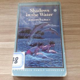 shadows in the water 外文原版