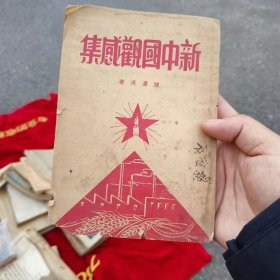 新中国观感集