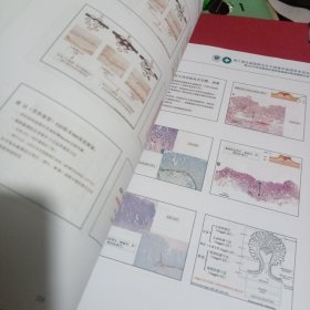 第八届超微分子病理学高端学术论坛暨2022年全国消化道早癌病理诊断进展研讨会