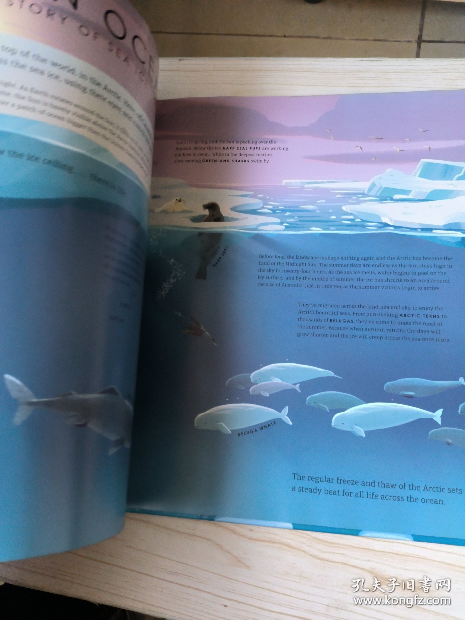 rozen Planet II BBC纪录片冰冻星球第二季 儿童精装绘本 英文