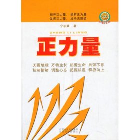 正版 正力量 珍藏版 宁志荣 山西经济出版社