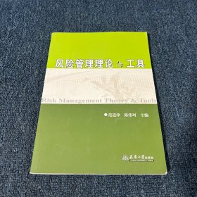 风险管理理论与工具