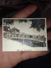 50年代 厦门大学建南大礼堂 老照片一枚8.2✘6