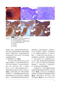 保正版！胃与肠：希望大家了解的十二指肠病变9787559100313辽宁科学技术出版社（日）《胃与肠》编委会 编著，《胃与肠》翻译委员会 译