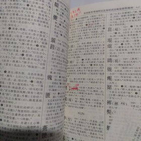 古汉语常用字字典（第4版）二手