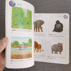 第一次发现丛书透视眼系列：不同地方的动物（动物类）