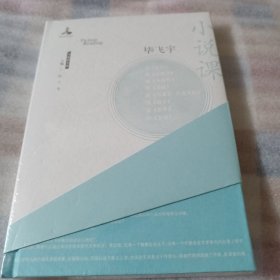 小说课----精装32开10品，未开封