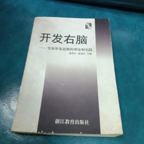 开发右脑:发展形象思维的理论和实践