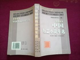 2003中国短篇小说年选（32开）