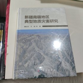 新疆南疆地区典型地质灾害研究