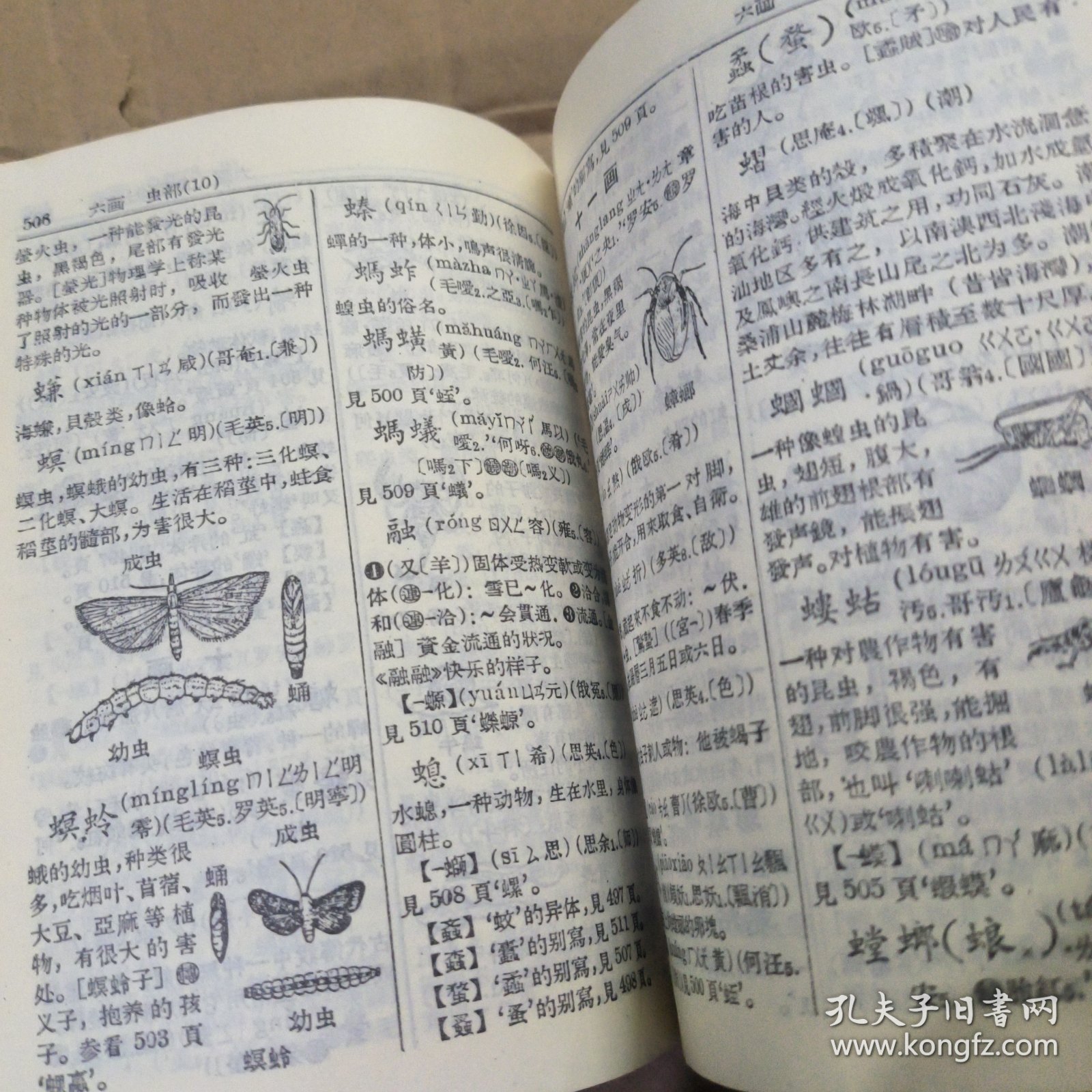 潮州音字典 （没版权页见图）