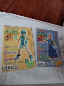 小学生读物2004年第10.11期，可选择购买