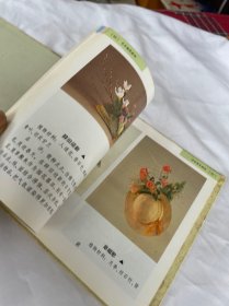 艺术插花指南:图册 精装