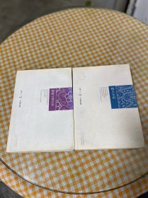 张小娴小说精选集：蝴蝶过期居留、情人无泪（2册合售）