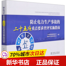 防止电力生产事故的二十五项重点要求查评实施指南