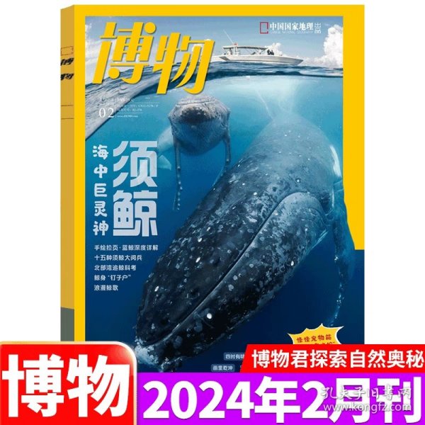 博物 2024年第2期 须鲸