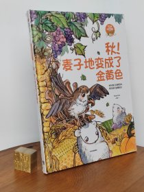 秋！麦子地变成了金黄色