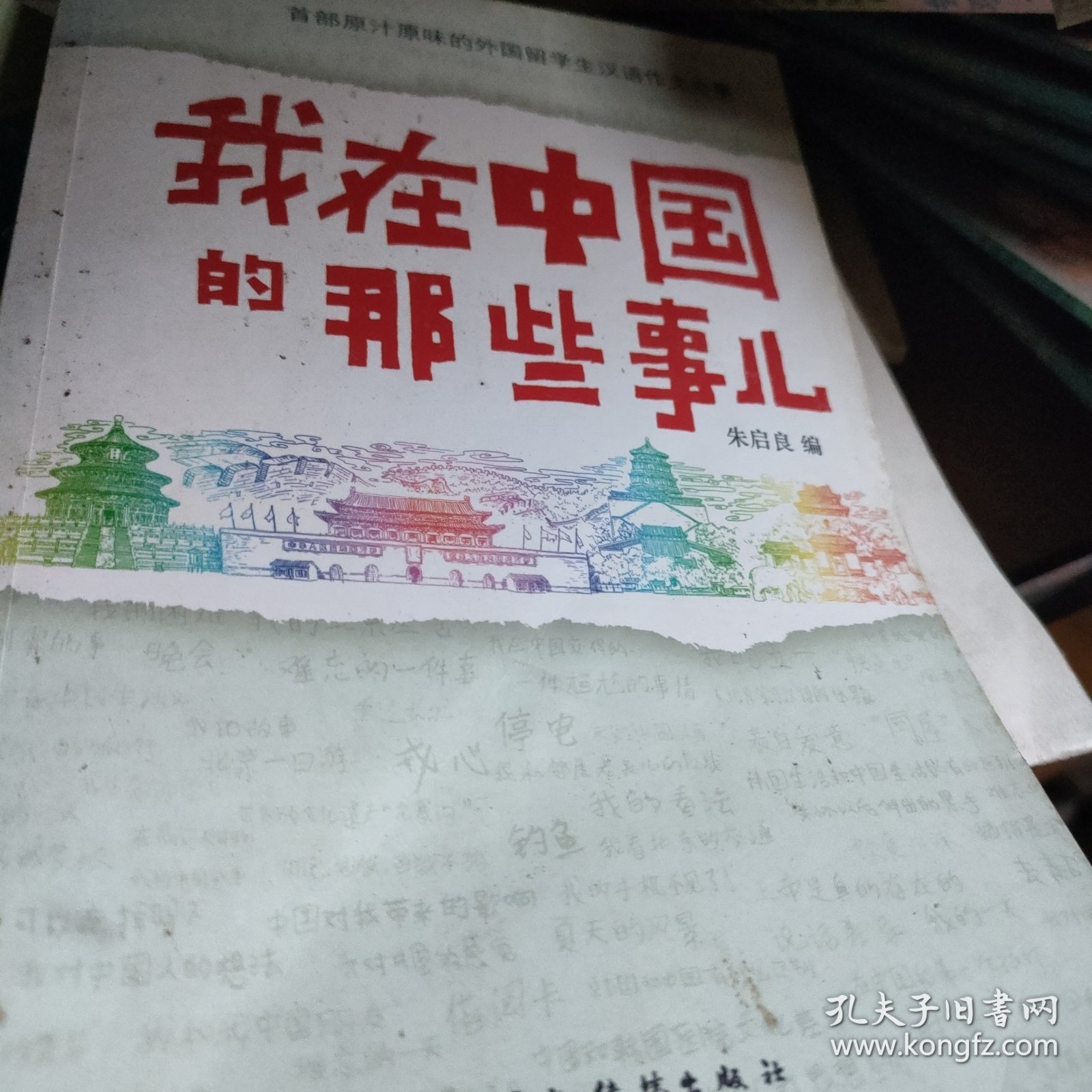 我在中国的那些事儿（中文版）