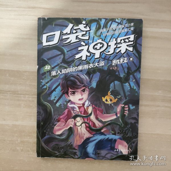 凯叔 口袋神探22：落入陷阱的黑雨衣大盗（凯叔写给小学生的科学侦探故事，系列图书销售超260万册，培养逻辑思维力）