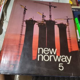 New Norway 5 Jerome Mountain 1982新挪威5（New Norway 5） 大16开精装